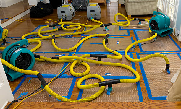 Professional Water Damage Restoration technician working in Land O'Lakes, FL
